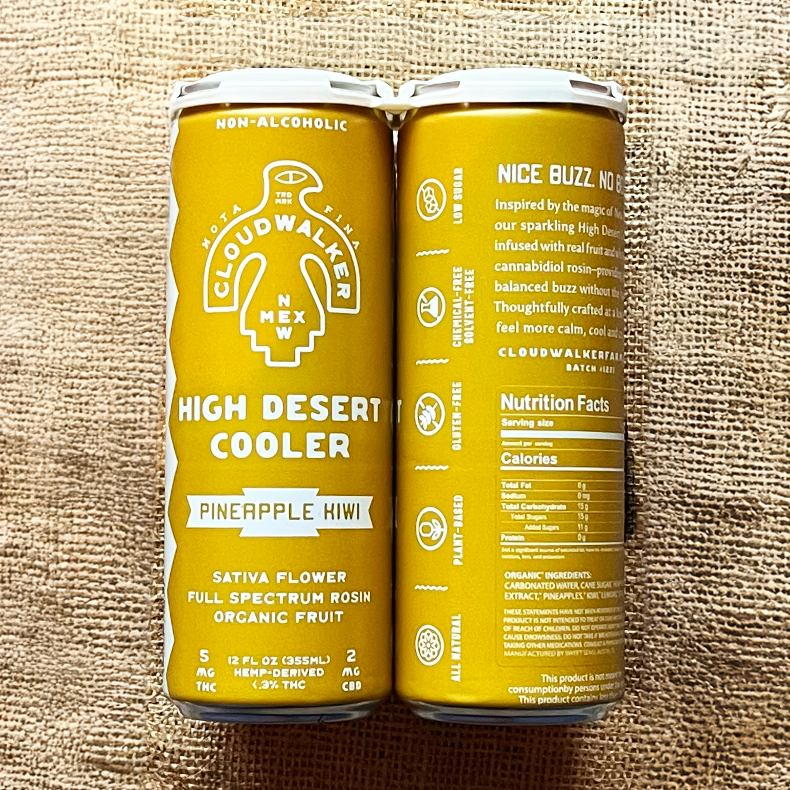 Pineapple Kiwi High Desert Cooler (4pk) | CloudWalker Farm Provisions